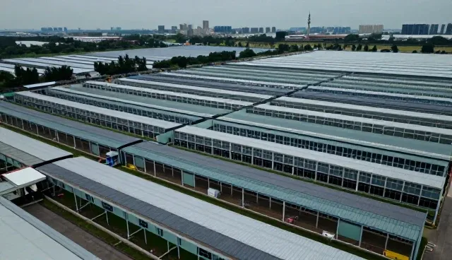 如何高效利用市场调研工具提升商务信息获取质量